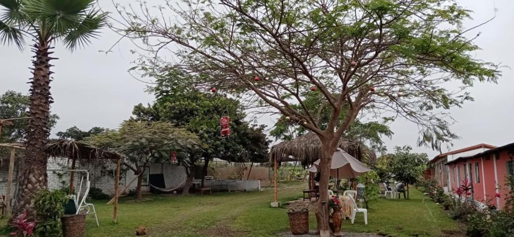 La Vina De Oscar Guest House Nuevo Imperial ภายนอก รูปภาพ