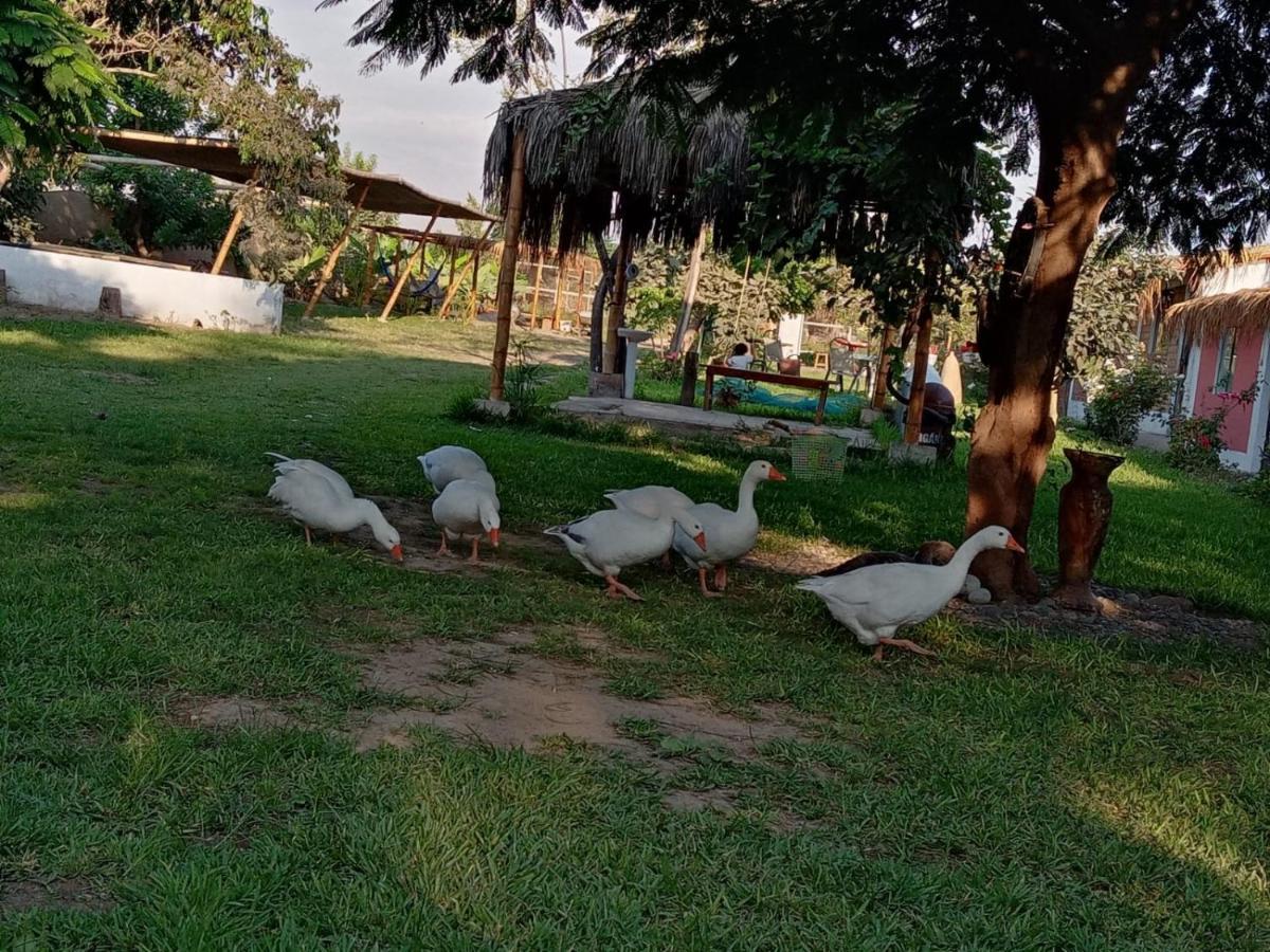 La Vina De Oscar Guest House Nuevo Imperial ภายนอก รูปภาพ
